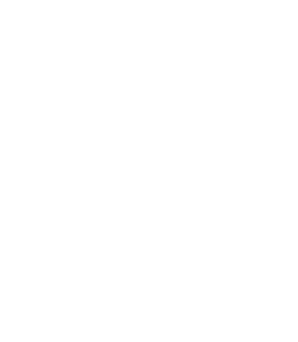 CD Palestino brand logo