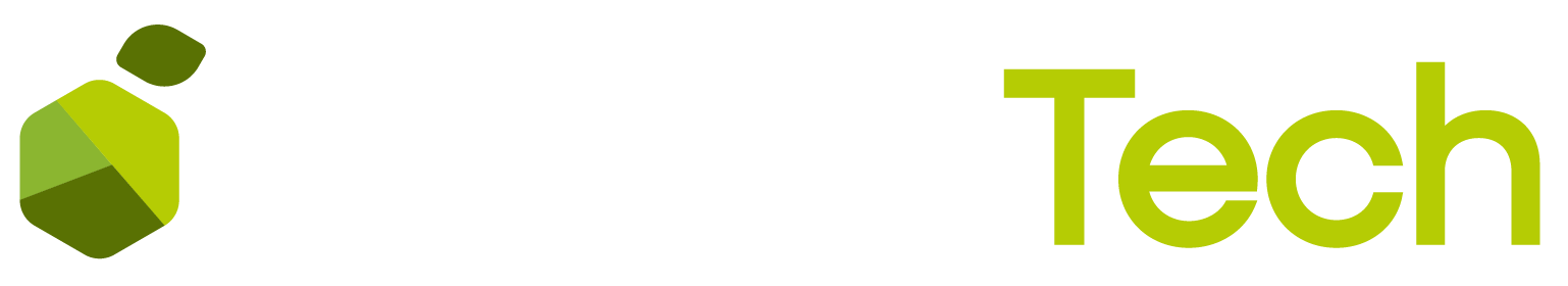 LemonTech brand logo