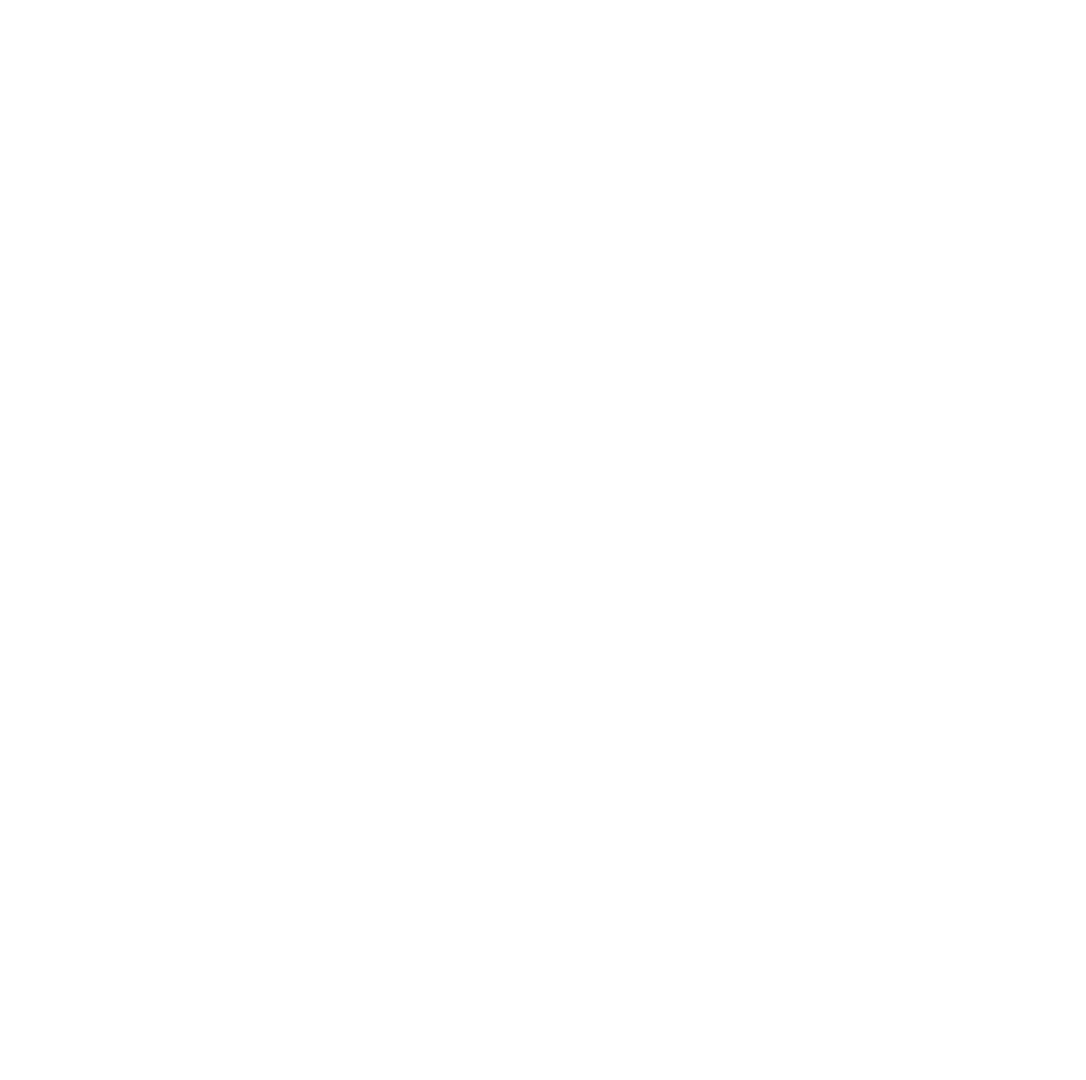 The Meeting brand logo